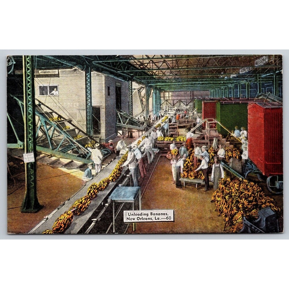 Vtg New Orleans LA Unloading Bananas Postcard E.C. Kropp Linen 23213 Unposted